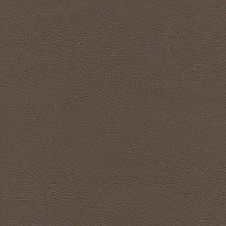 Square xlrg mod 2023 cocoa 1.jpg