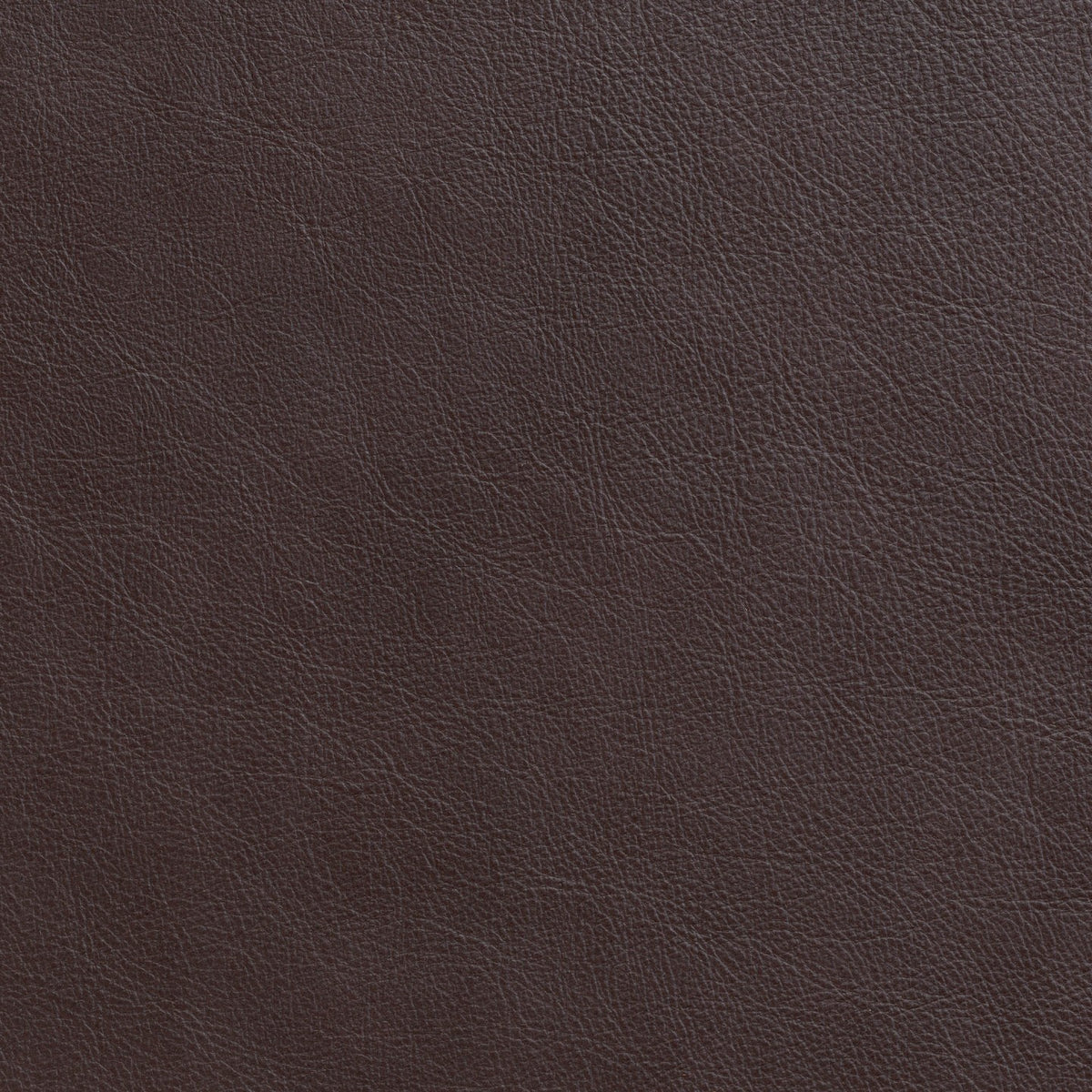 Square xlrg parker hickory.jpg