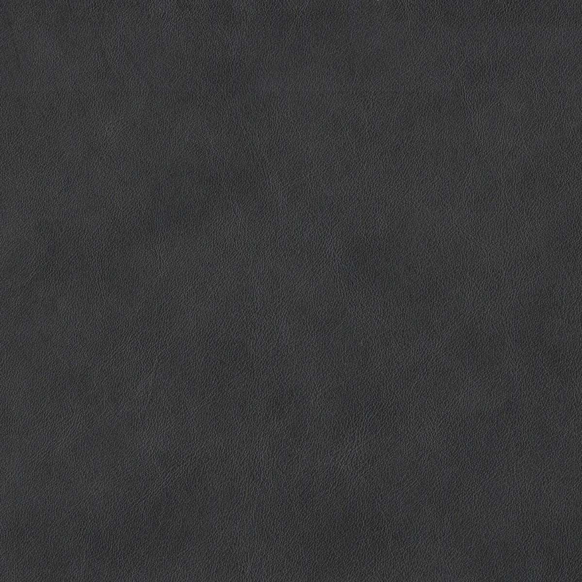 Square xlrg parker sepia.jpg