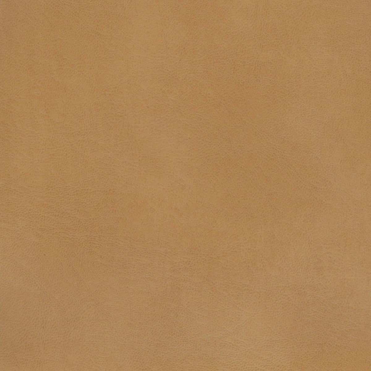 Square xlrg rango cork.jpg