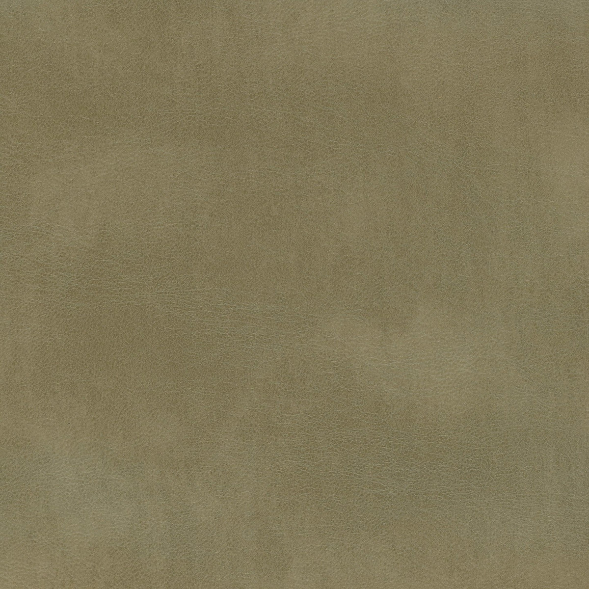 Square xlrg rango herb.jpg
