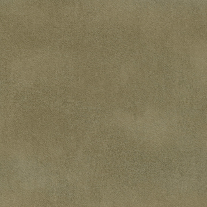 Square xlrg rango herb.jpg