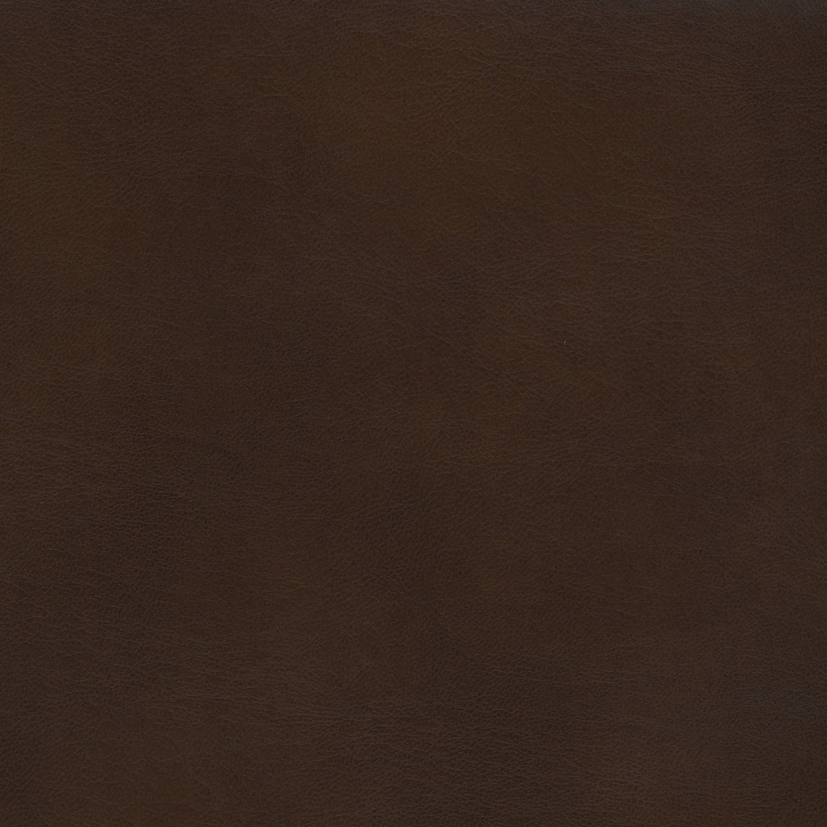 Square xlrg rango hickory.jpg