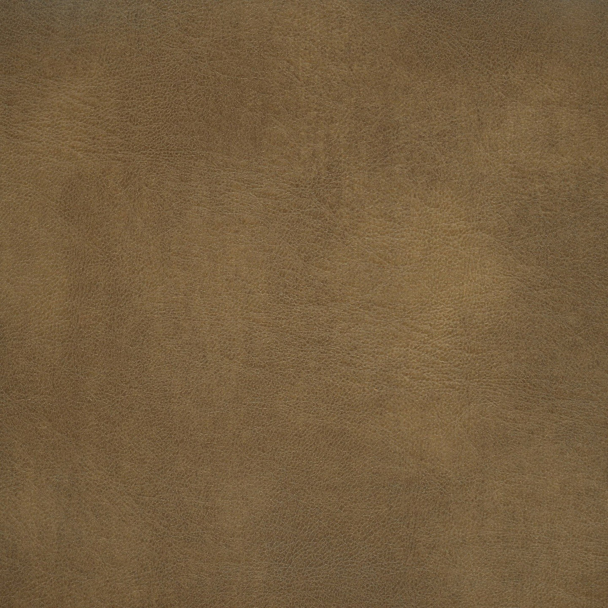 Square xlrg rango latte.jpg