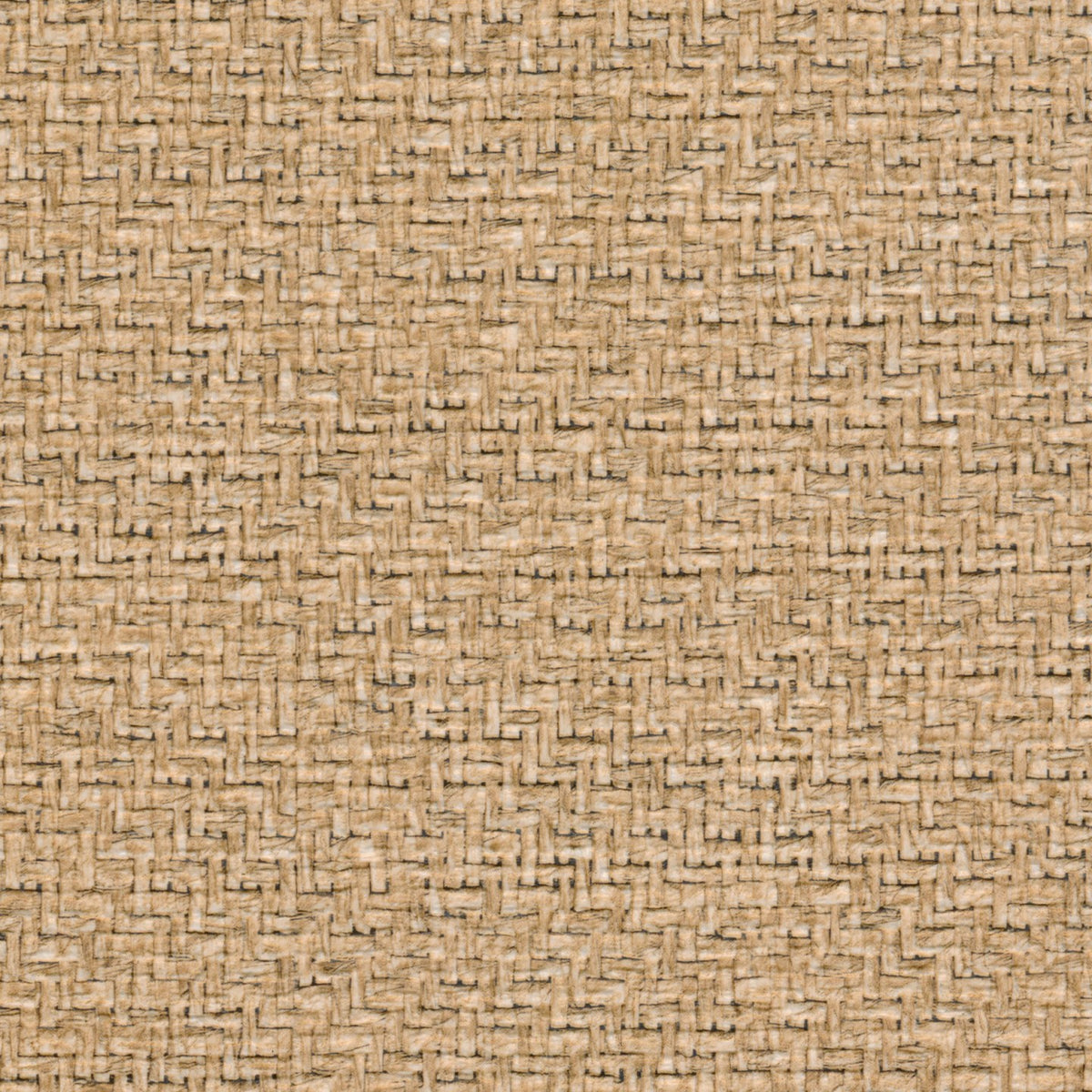 Square xlrg rattan pampas.jpg
