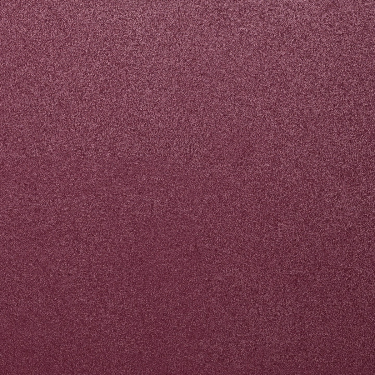 Square xlrg salinger wsl 001 acai.jpg