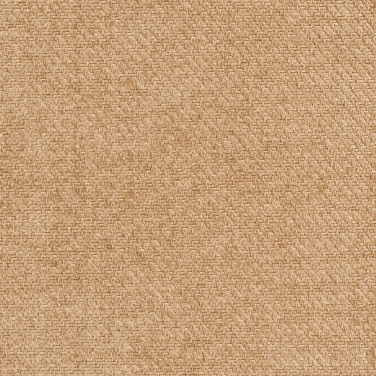Square xlrg scooter 19 dune.jpg