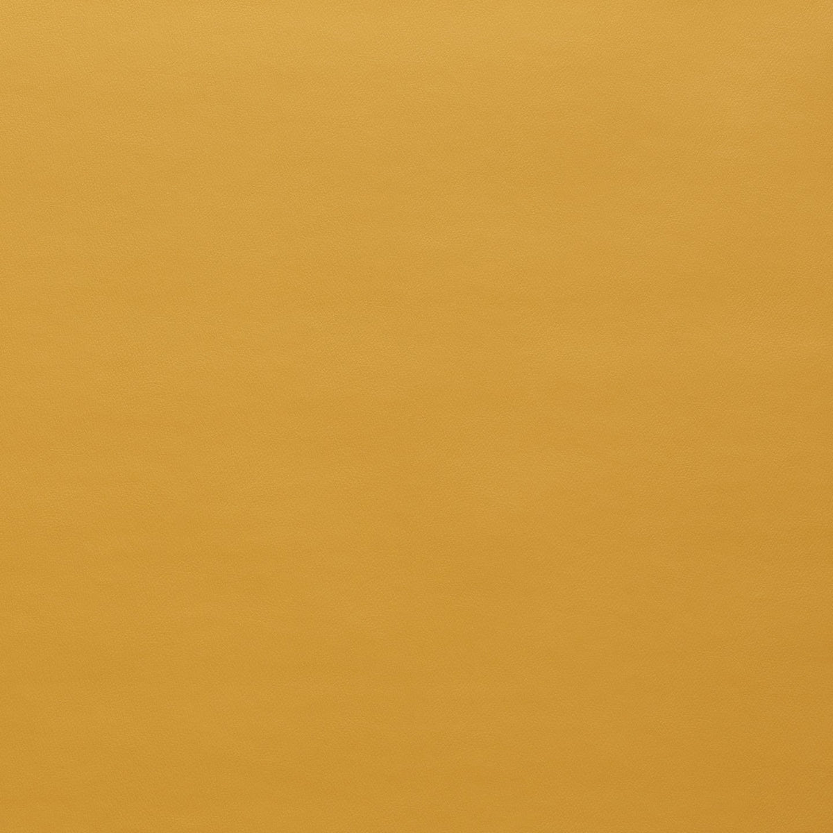 Square xlrg spirit us 324 golden rod.jpg