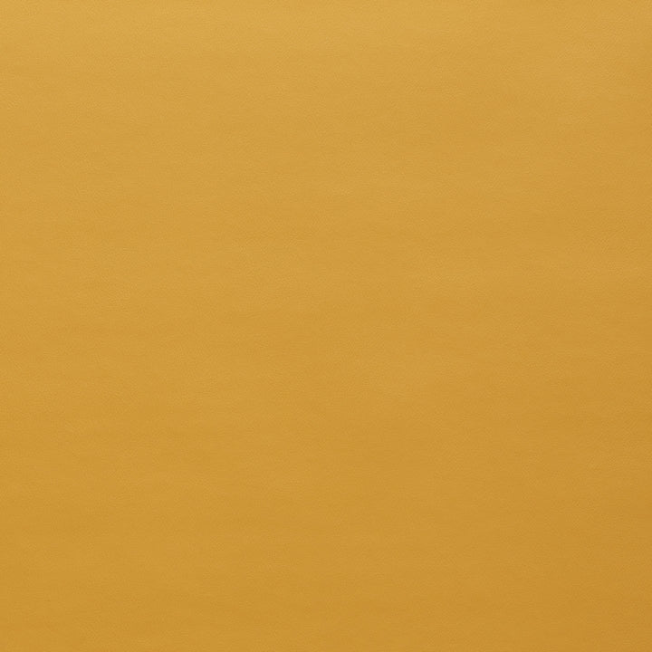 Square xlrg spirit us 324 golden rod.jpg
