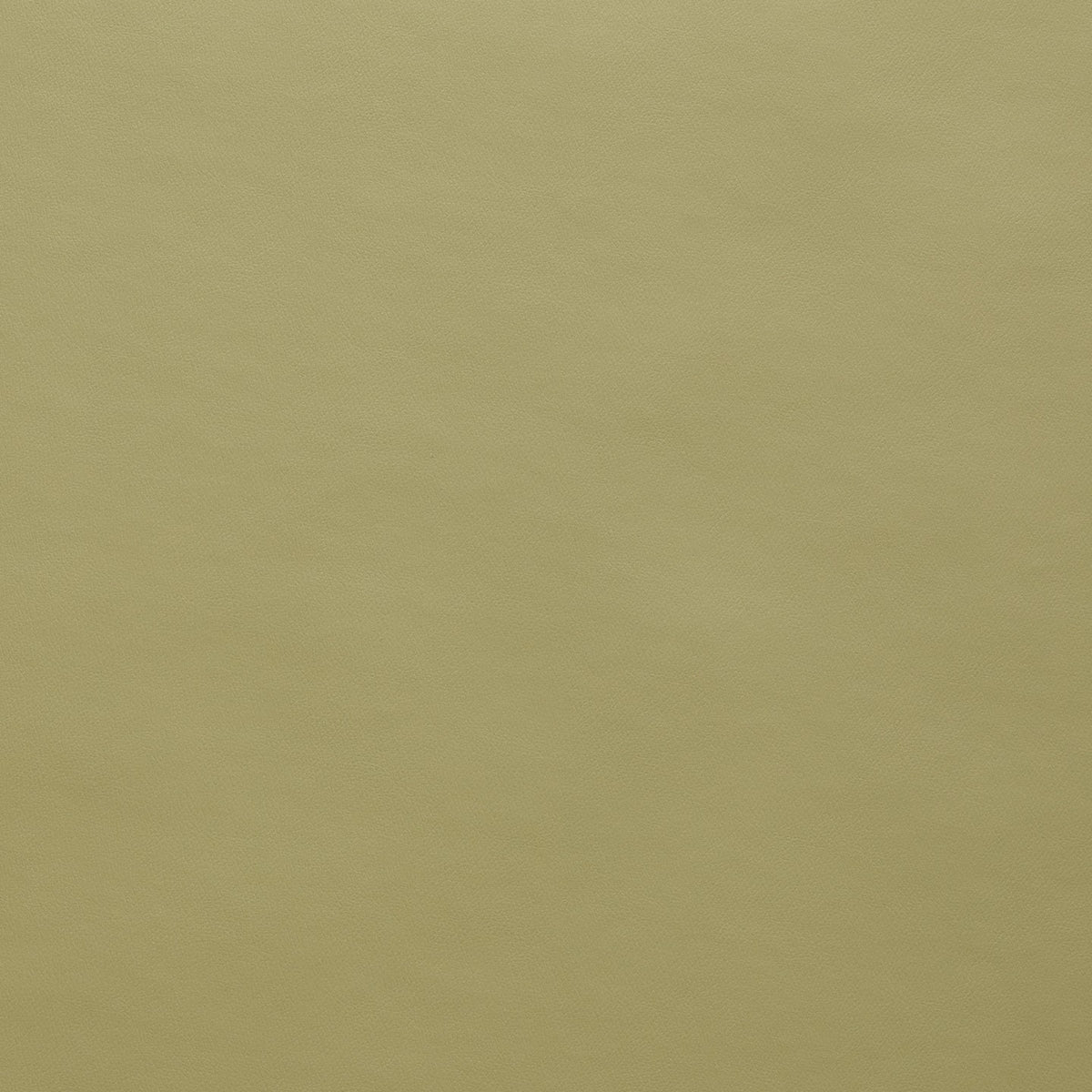 Square xlrg spirit us 526 sage.jpg