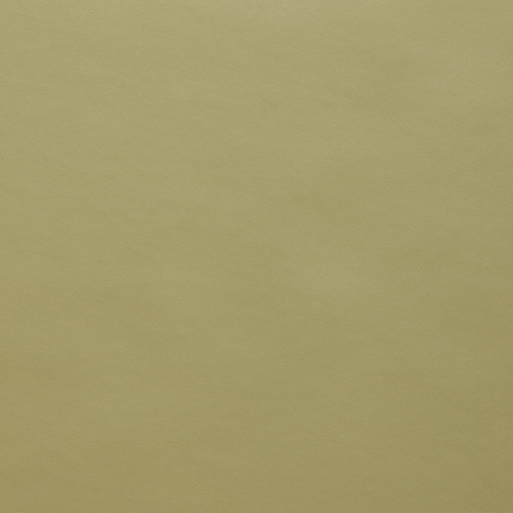 Square xlrg spirit us 526 sage.jpg