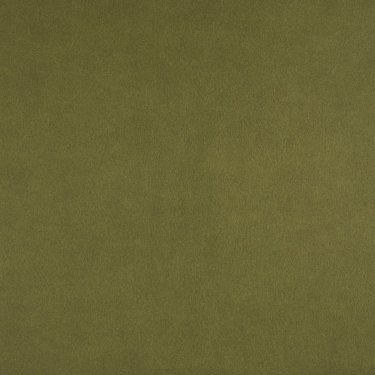 Square xlrg spring wha 019 hr.jpg