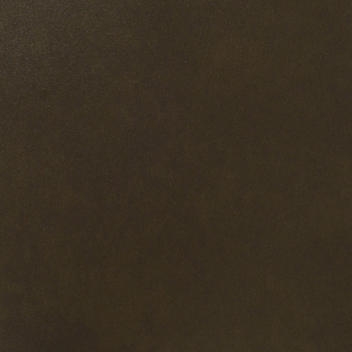 Square xlrg sse carob.jpg
