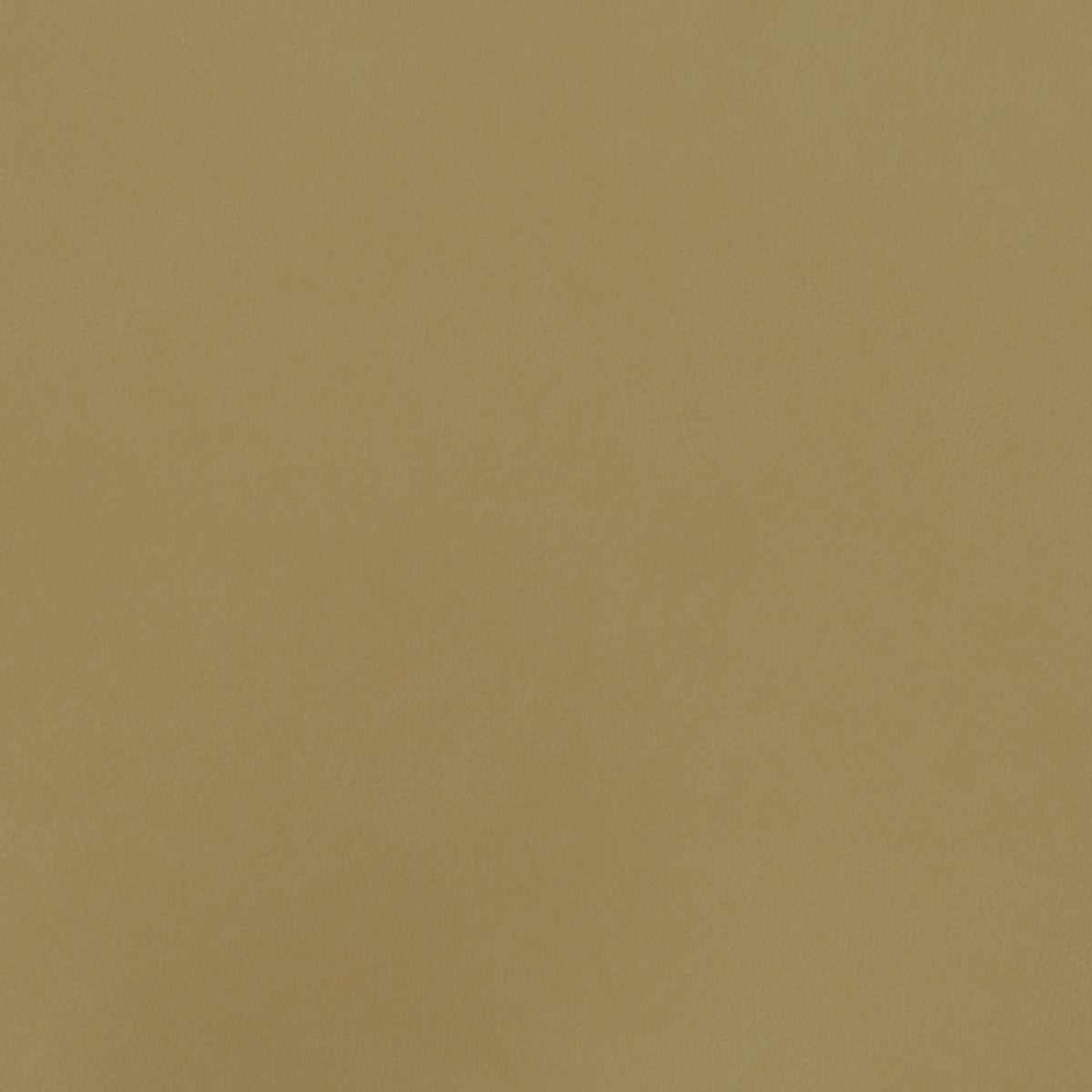 Square xlrg sse flan.jpg