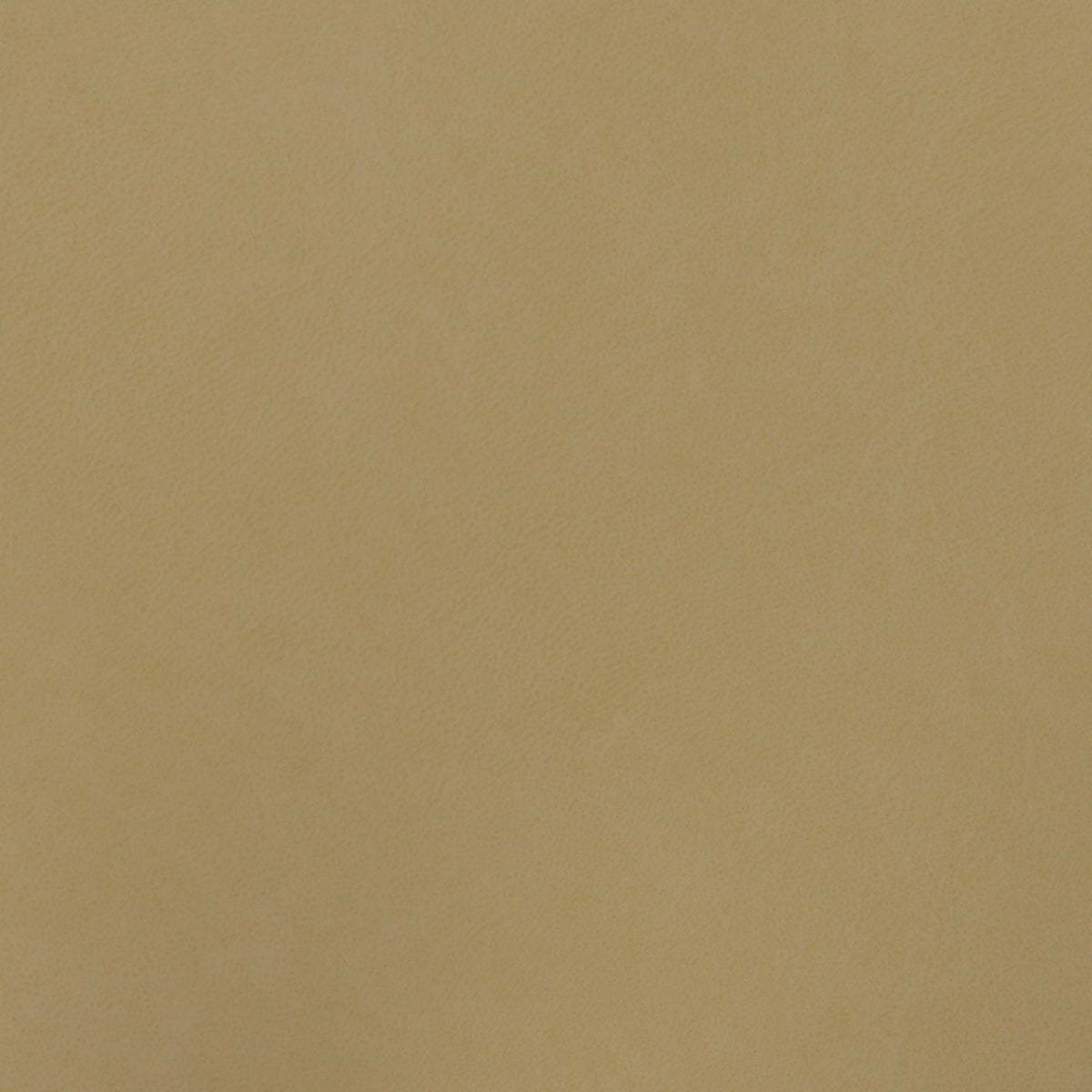 Square xlrg sse ginger.jpg