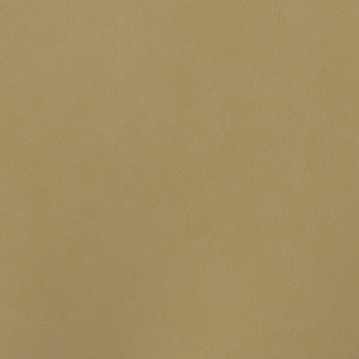 Square xlrg sse ginger.jpg