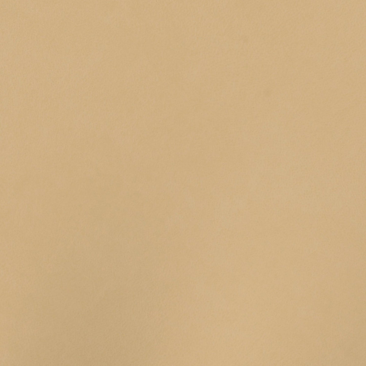 Square xlrg sse oyster 3.jpg