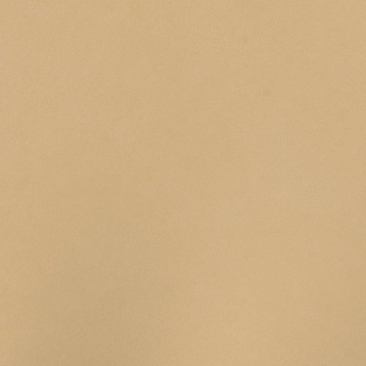 Square xlrg sse oyster 3.jpg