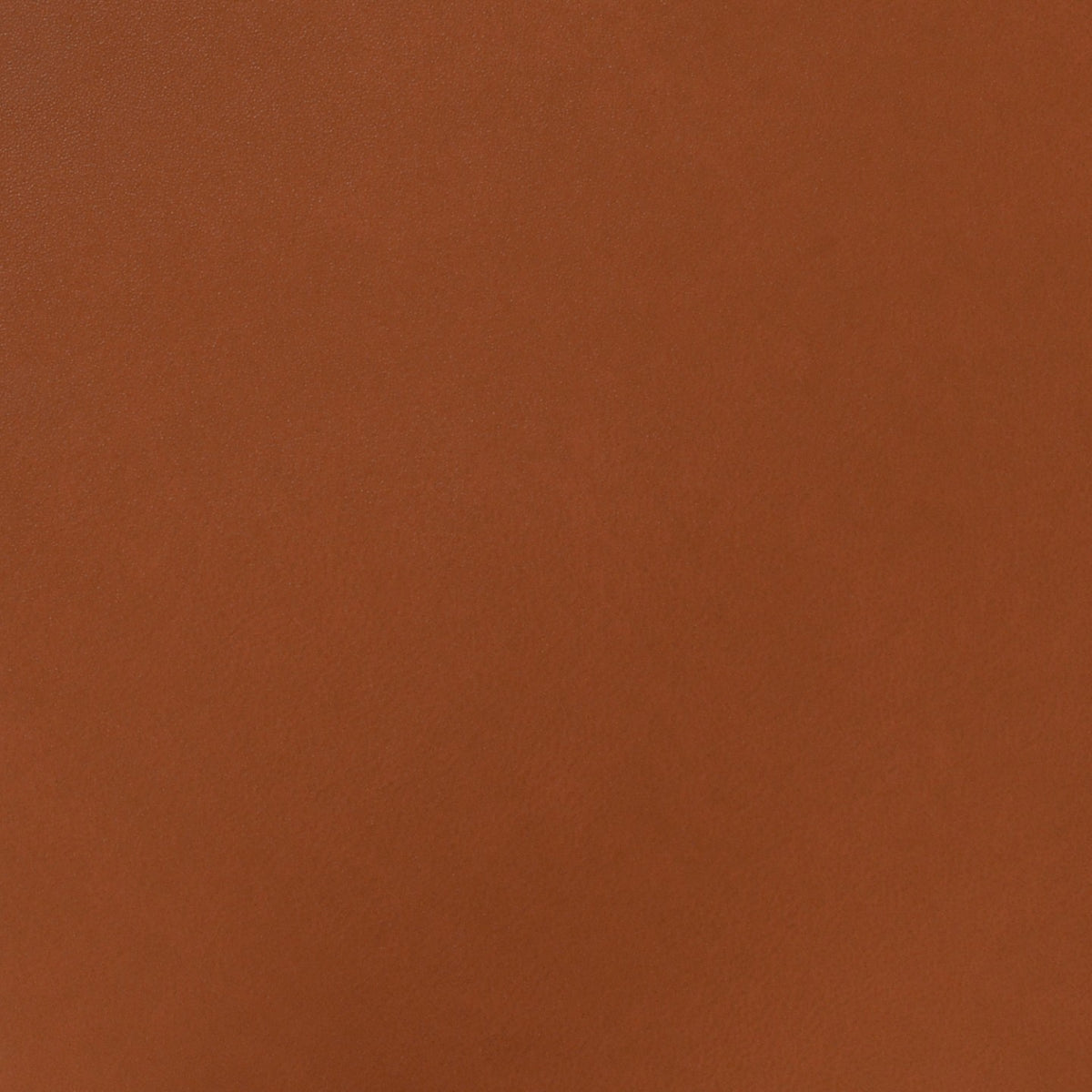 Square xlrg sse pumpkin pie.jpg