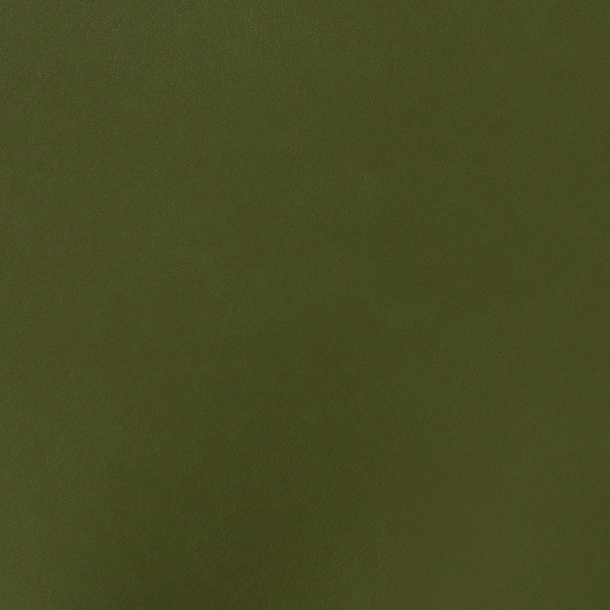 Square xlrg sse sassafrass.jpg