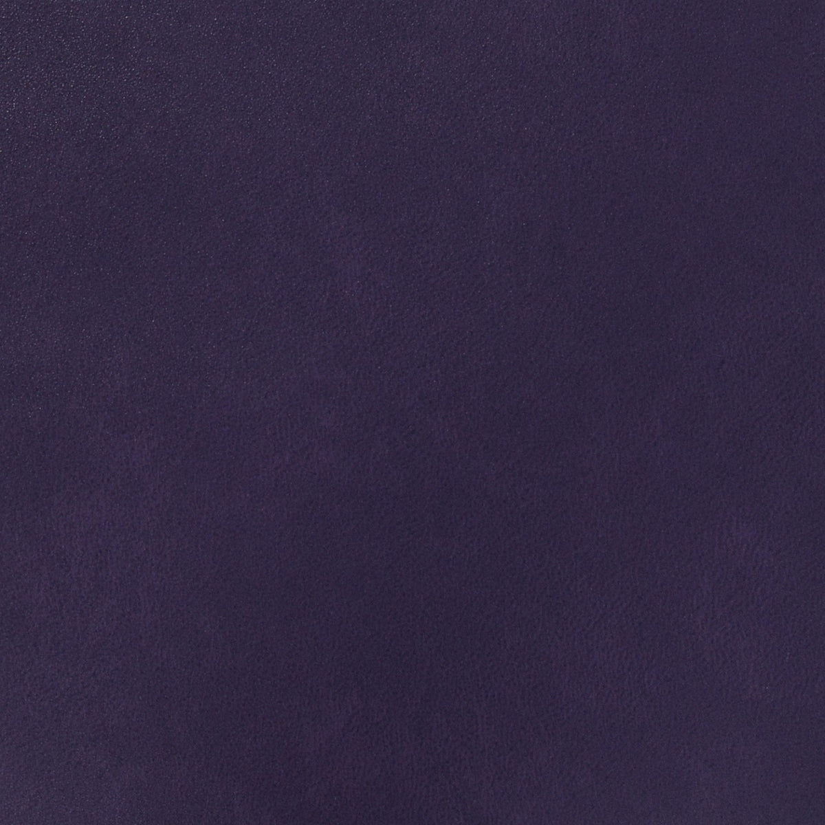 Square xlrg sse verbena.jpg