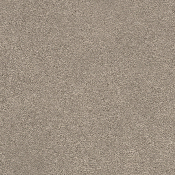 Square xlrg str ashwood.jpg