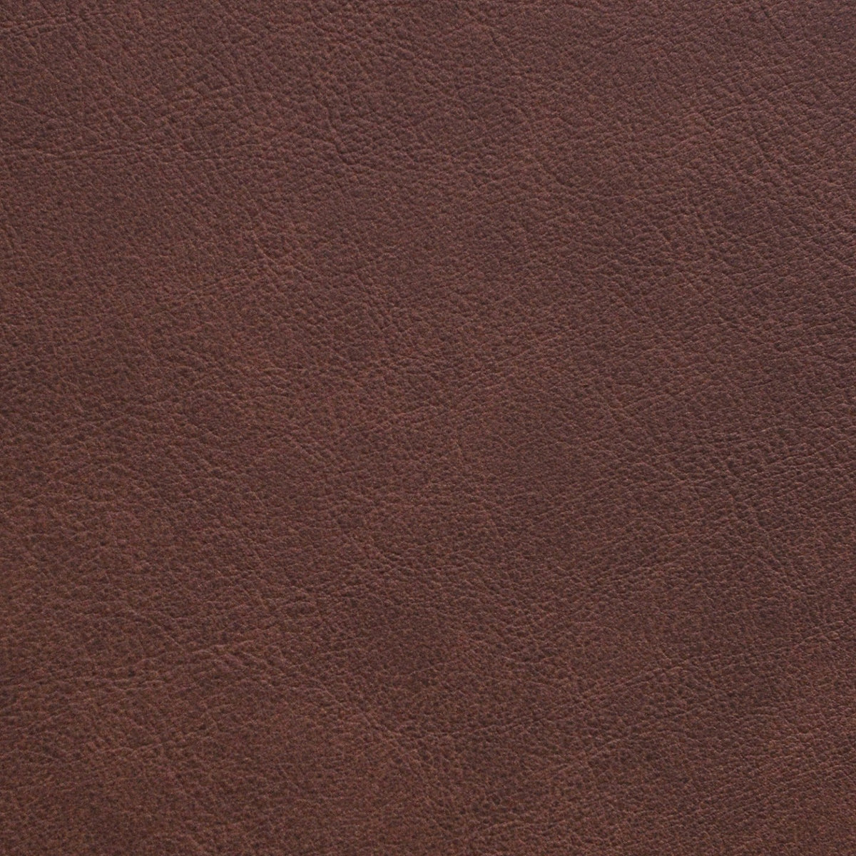 Square xlrg str cheyenne 4.jpg