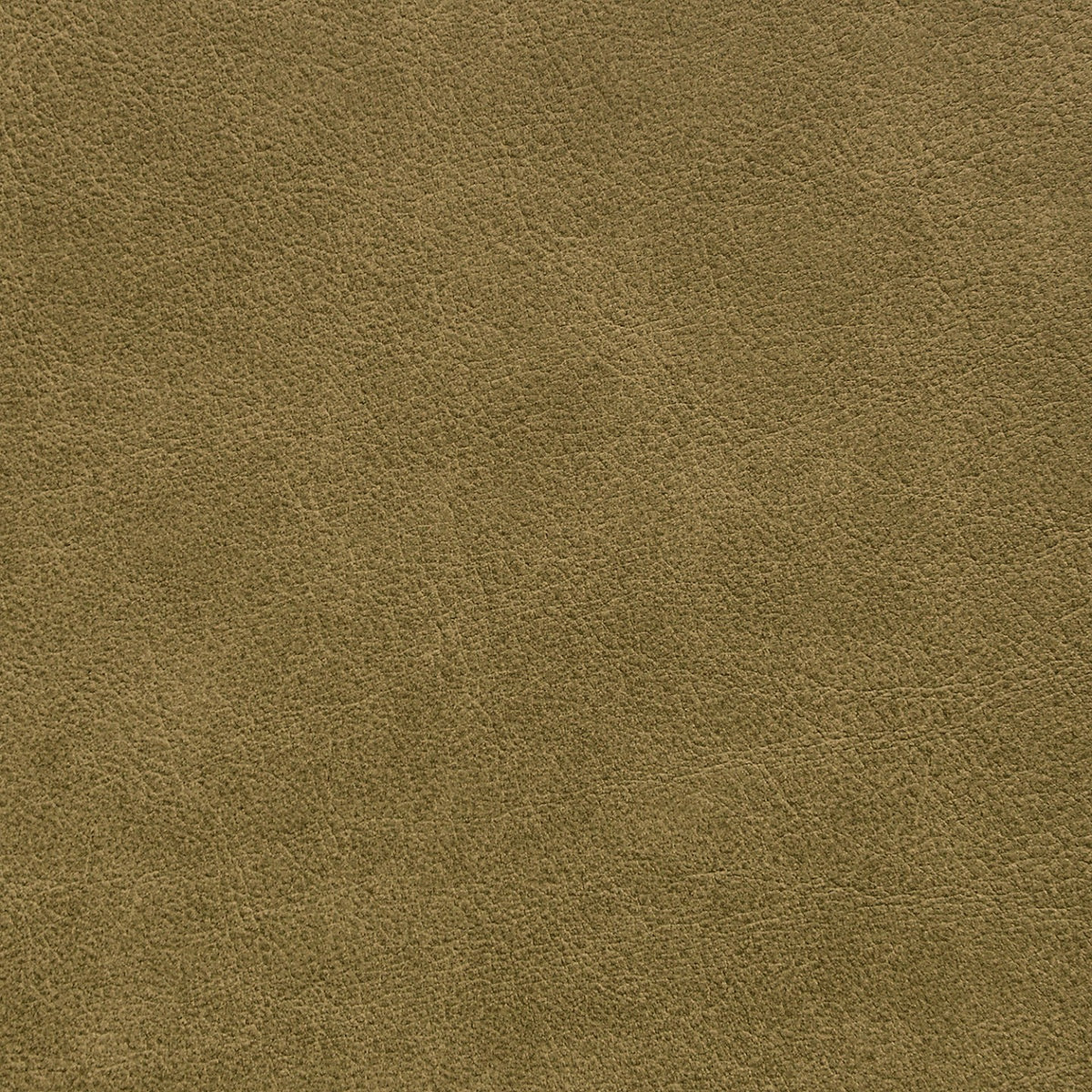 Square xlrg str sprout 2.jpg