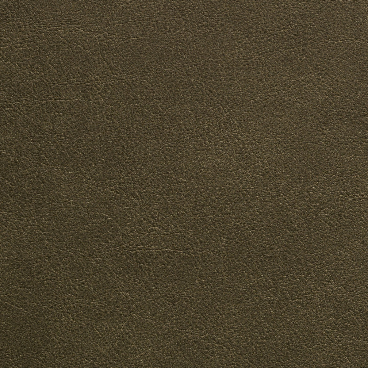 Square xlrg str thyme 1.jpg