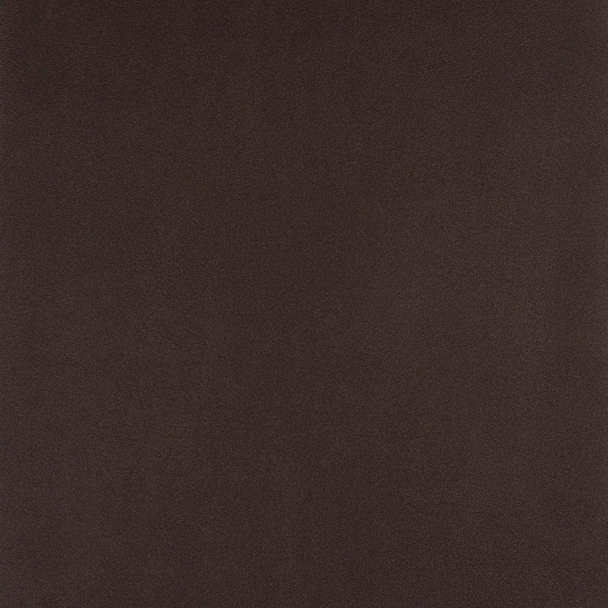 Square xlrg syrah wha 021 hr 1.jpg