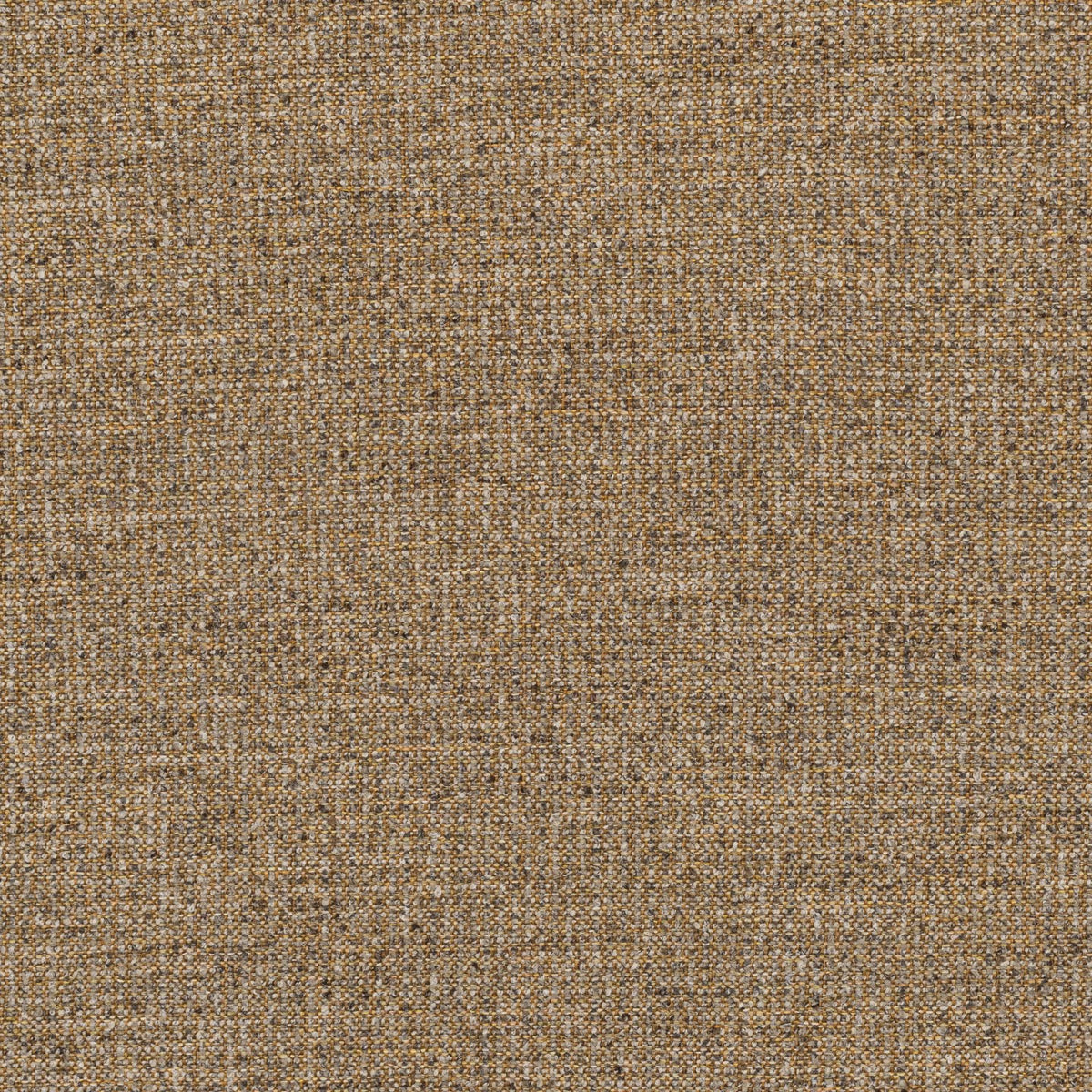 Square xlrg teton 43 goldstone.jpg