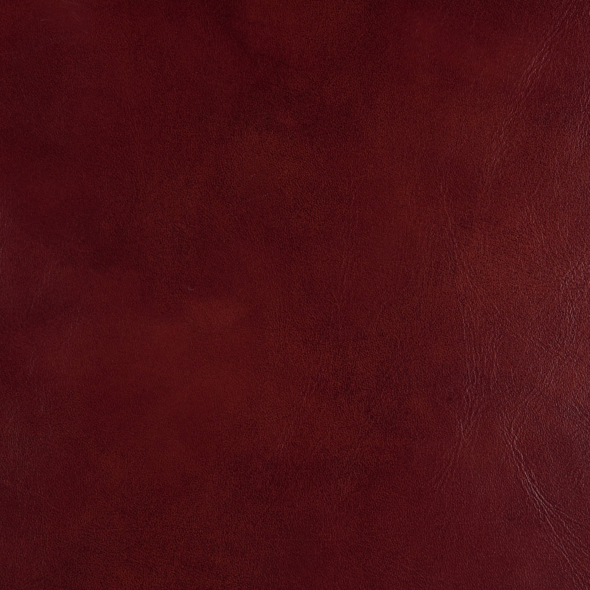 Square xlrg wales rouge 2.jpg