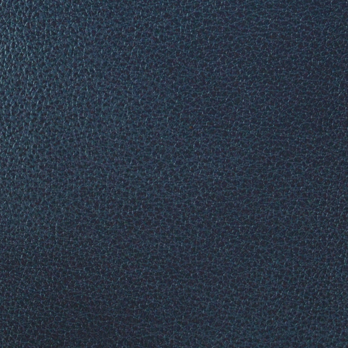 Square xlrg wcl lapis.jpg