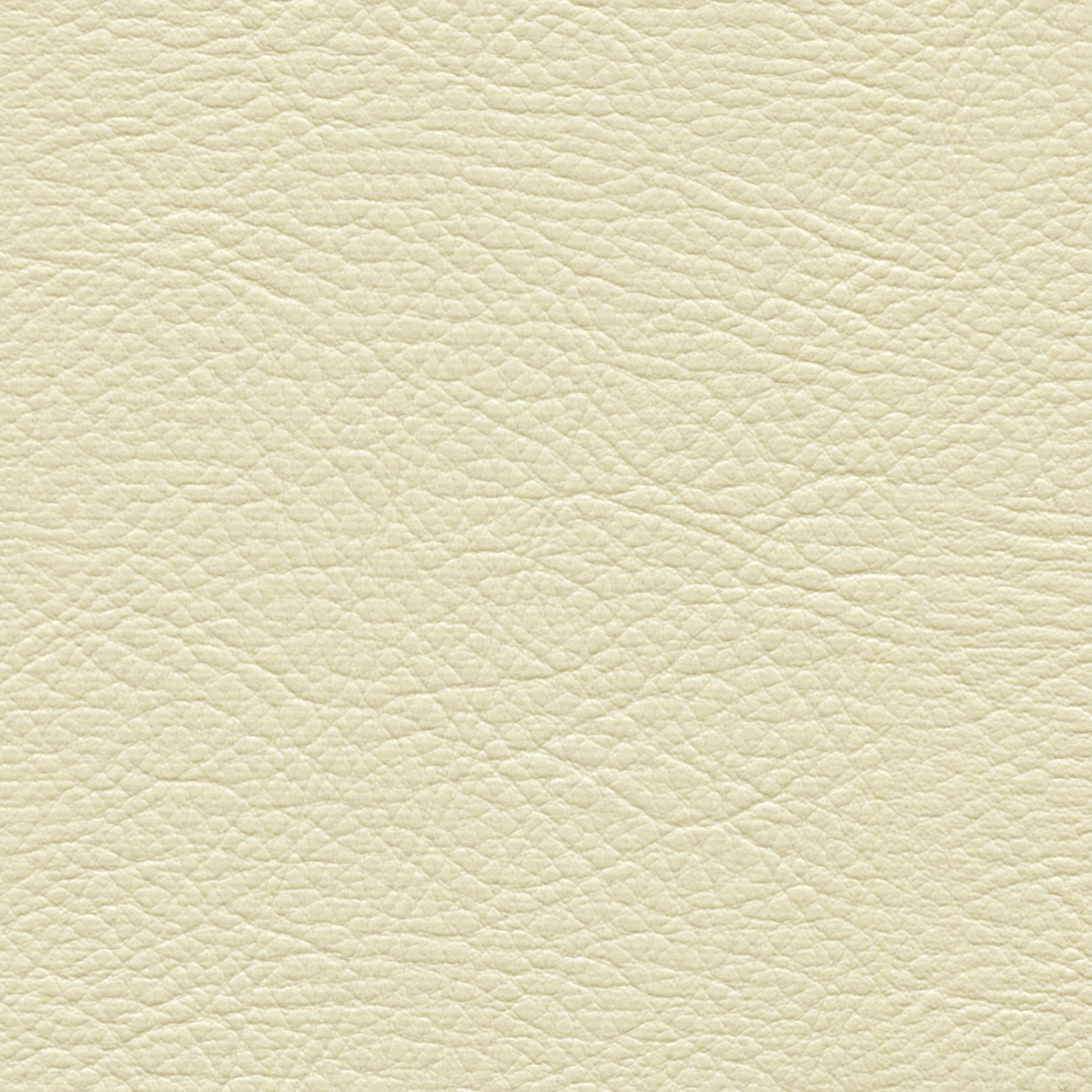 Square xlrg whi 2170 powder.png