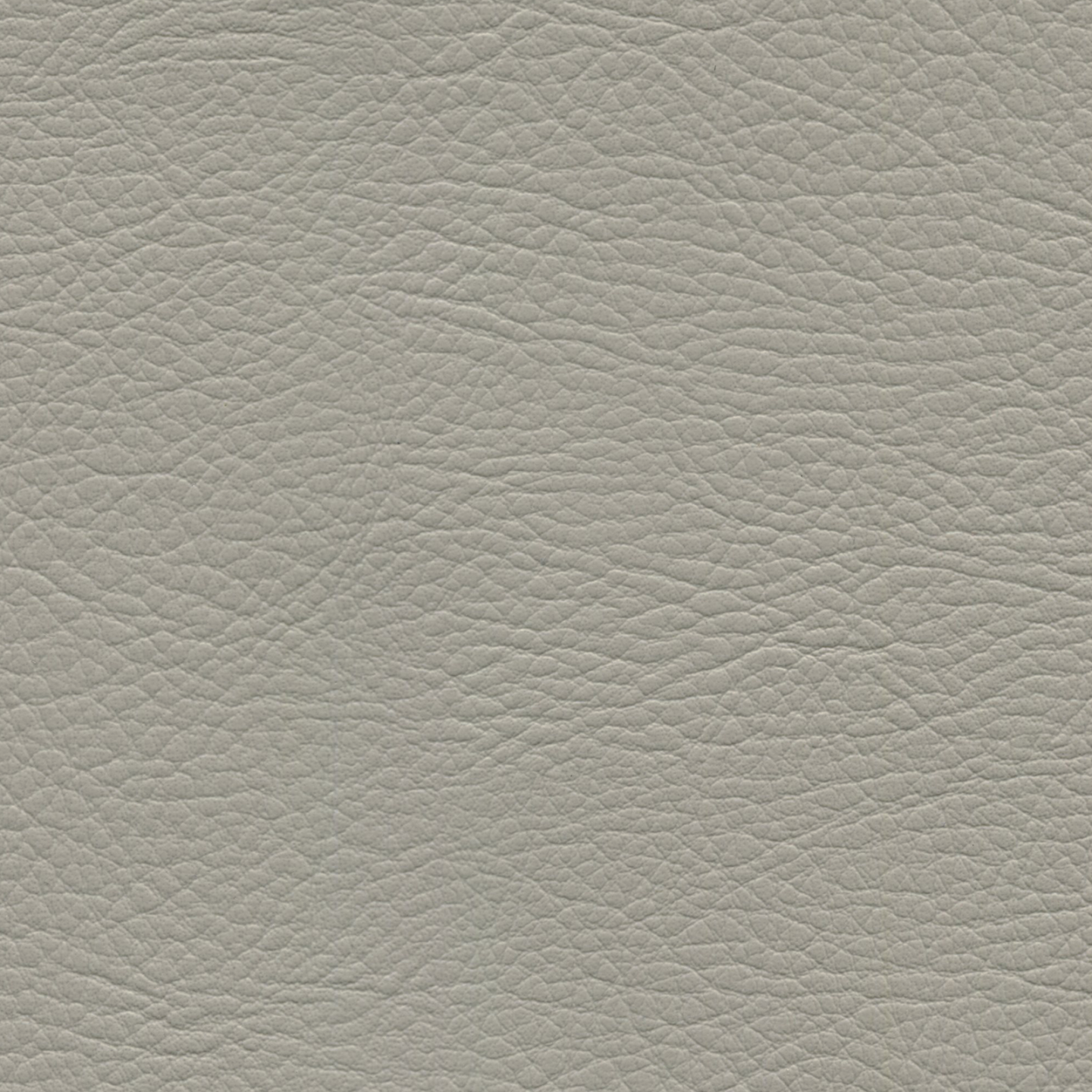 Square xlrg whi 2171 pearl.png