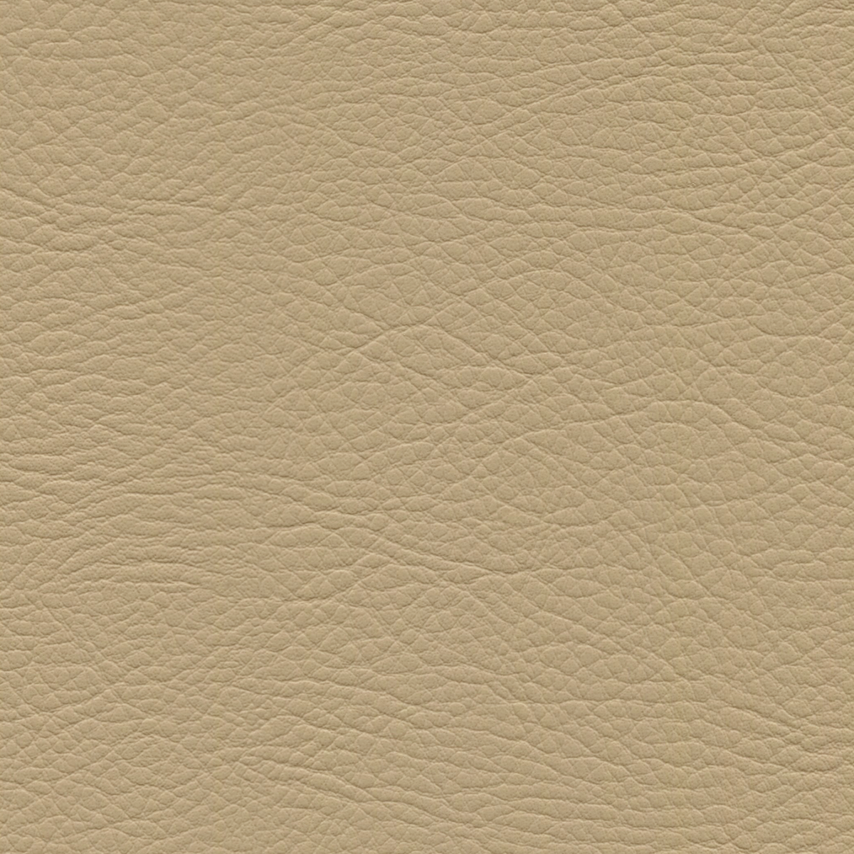 Square xlrg whi 2172 sand 1.png