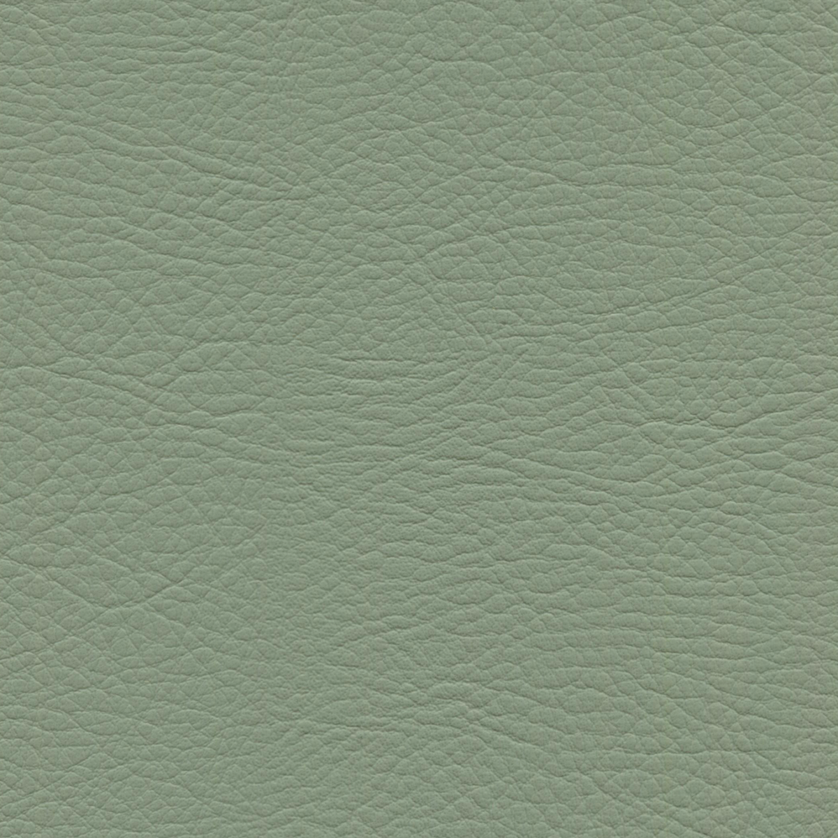 Square xlrg whi 2178 silver leaf.png