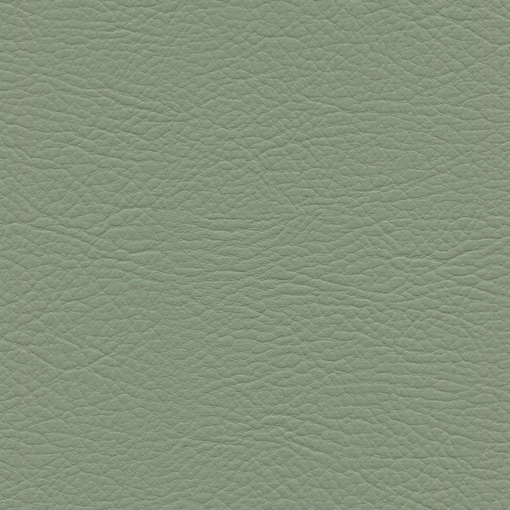 Square xlrg whi 2178 silver leaf.png