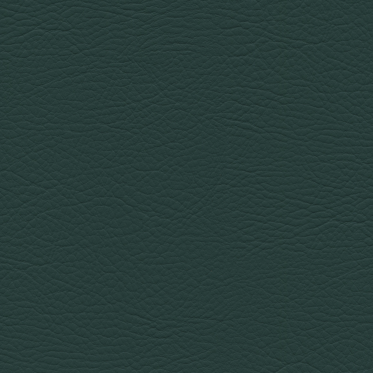 Square xlrg whi 2180 emerald.png