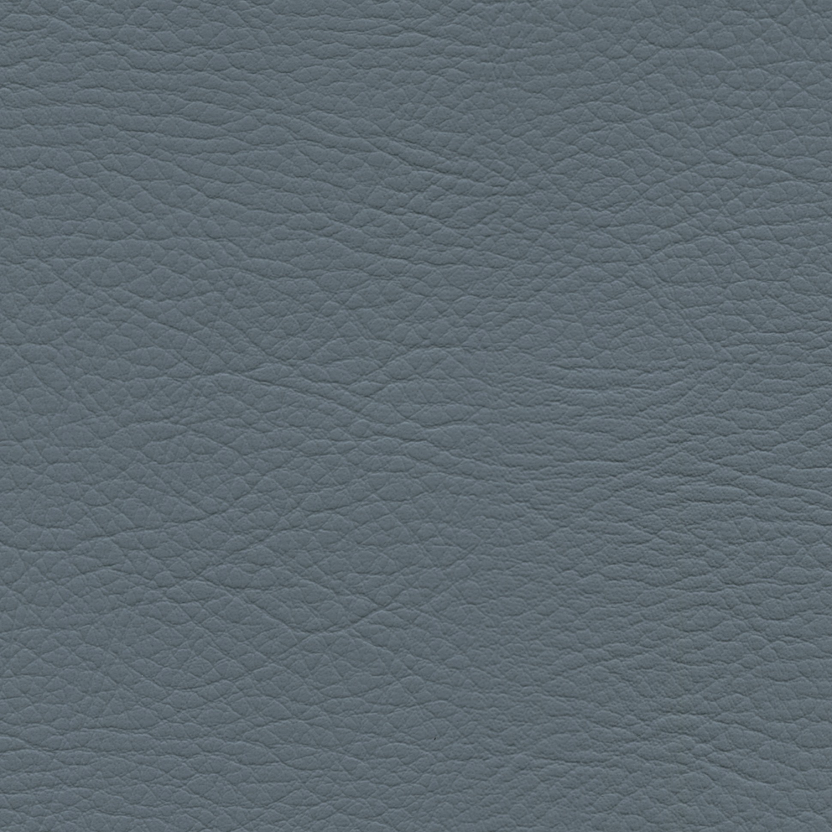 Square xlrg whi 2181 coastal 1.png