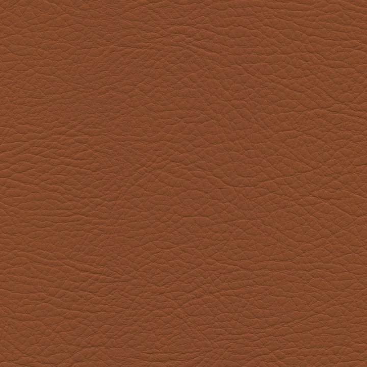 Square xlrg whi 2183 saddle.png