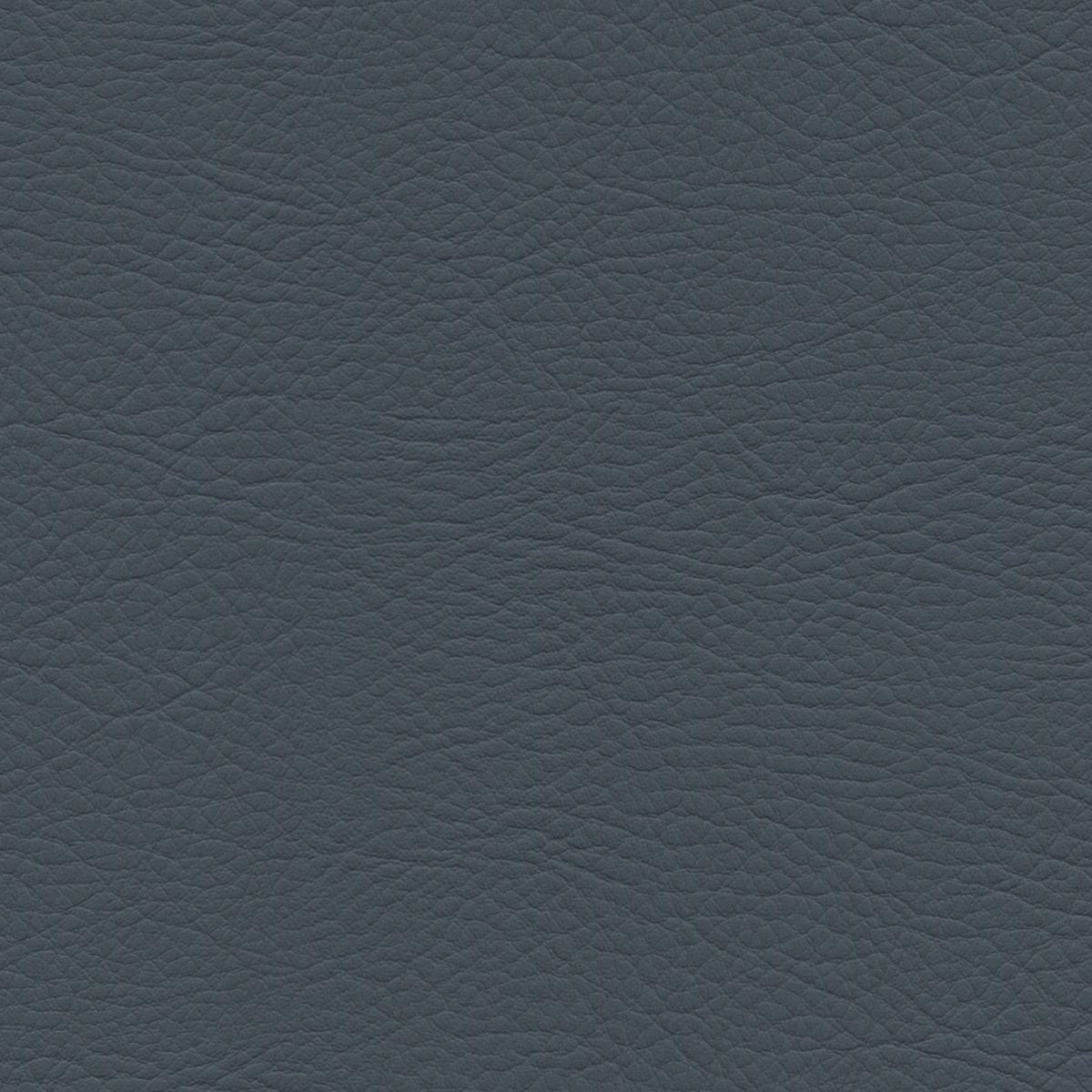 Square xlrg whi 2184 slate.png