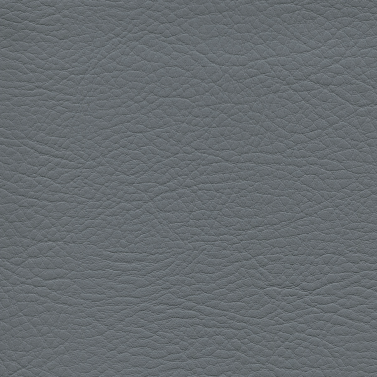 Square xlrg whi 2186 wolf grey.png