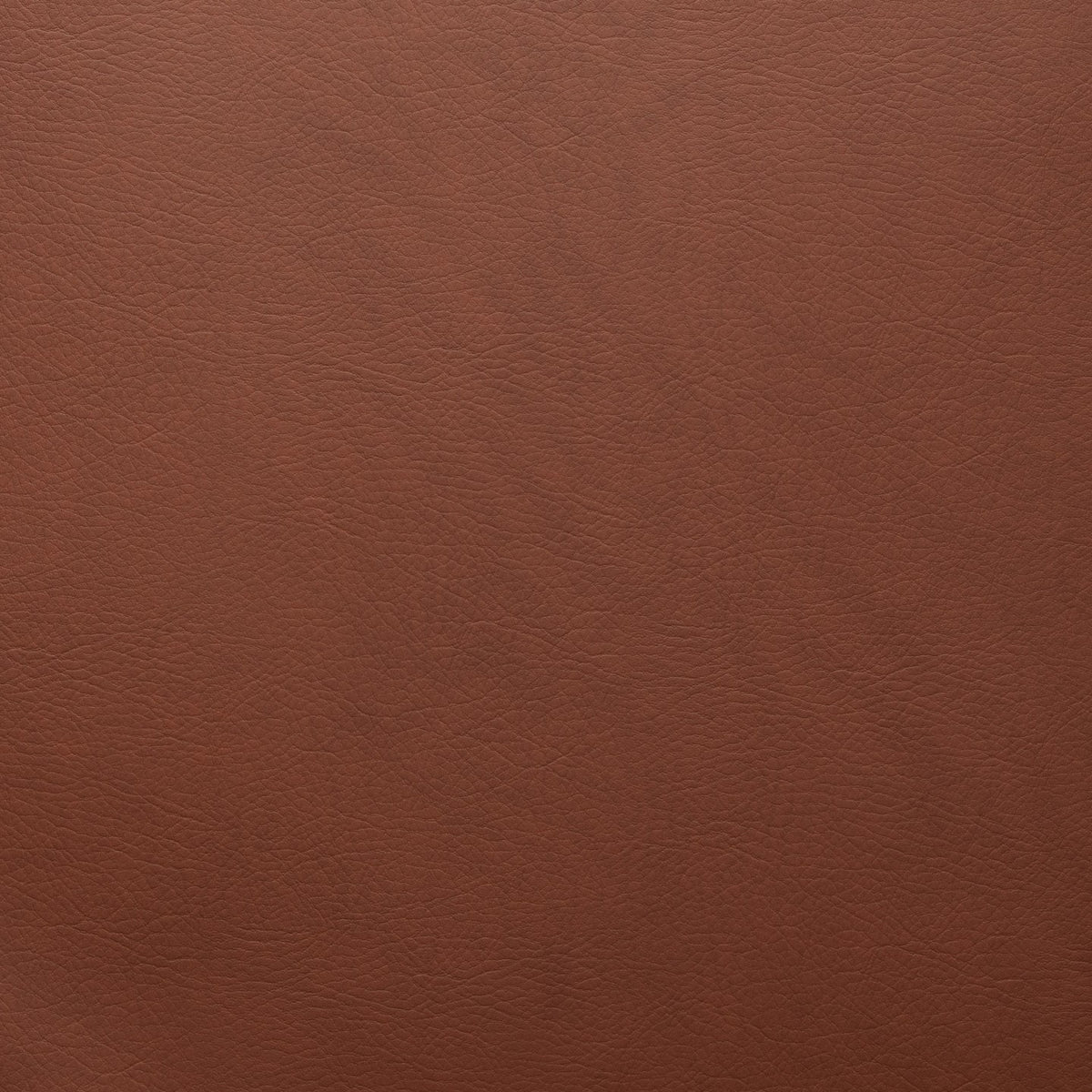 Square xlrg whisper whi 2125 cinnamon 1.jpg