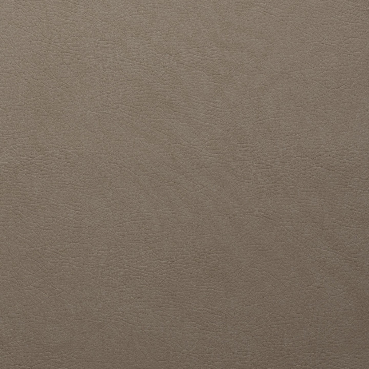 Square xlrg whisper whi 2138 elephant.jpg
