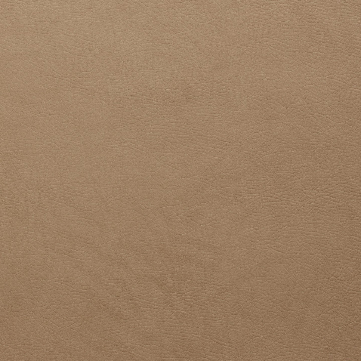 Square xlrg whisper whi 2141 cashew 1.jpg