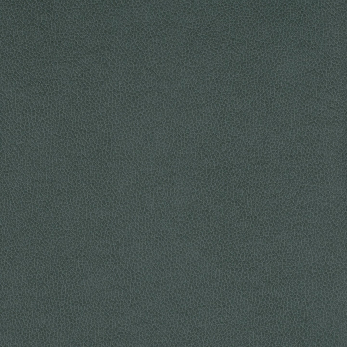 United Fabrics Tolstoy II WTY 103 Brighton