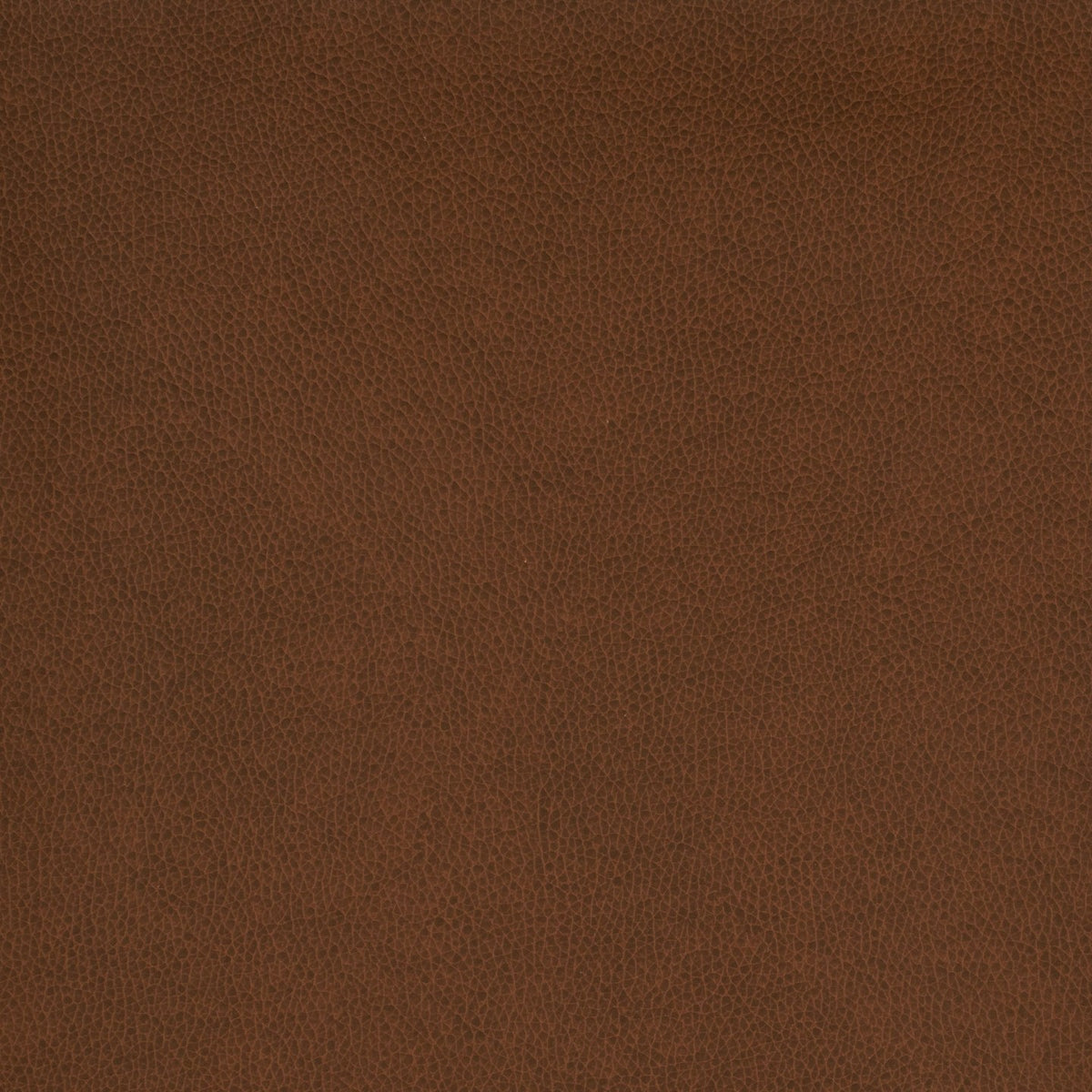 Square xlrg wty 105 tolstoy ii cordovan hr 2.jpg