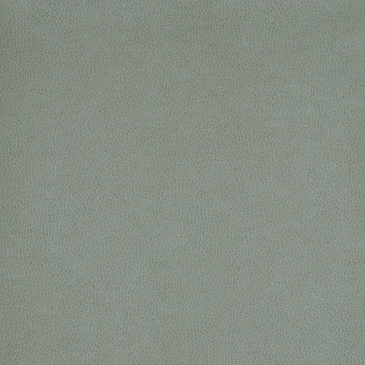 Square xlrg wty 106 tolstoy ii dolphin hr.jpg
