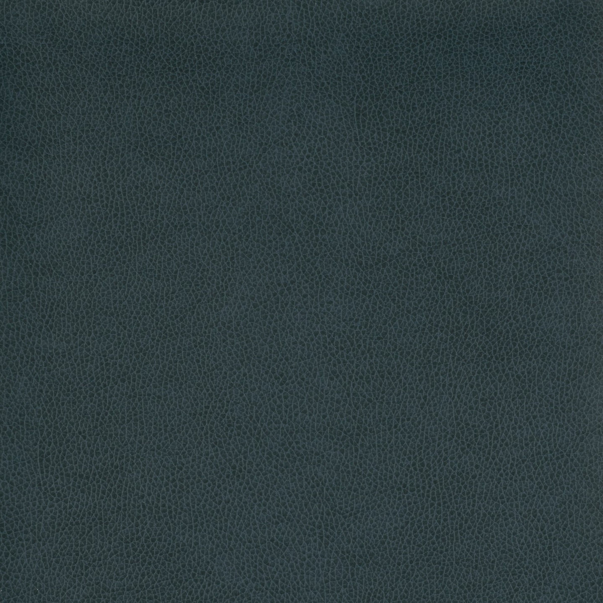 Square xlrg wty 111 tolstoy ii harbor hr.jpg